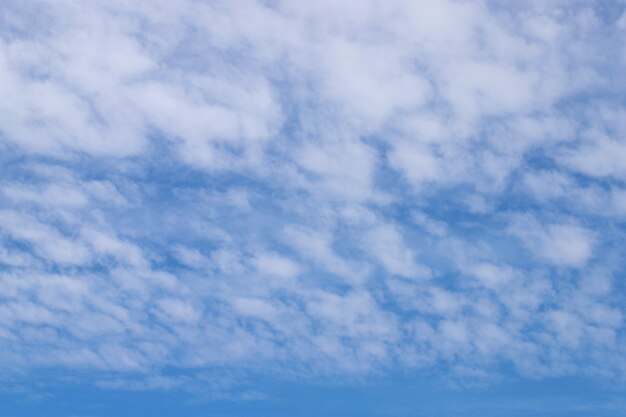 tło letnie błękitne niebo z różnymi chmurami bieli