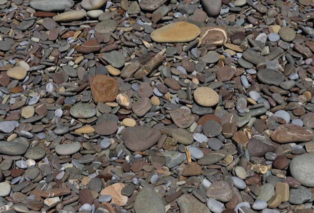 Tło małe kolorowe kamyki morskie na plaży