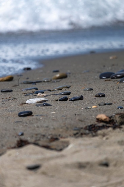 Tło małych kamieni przy plaży z muszlą