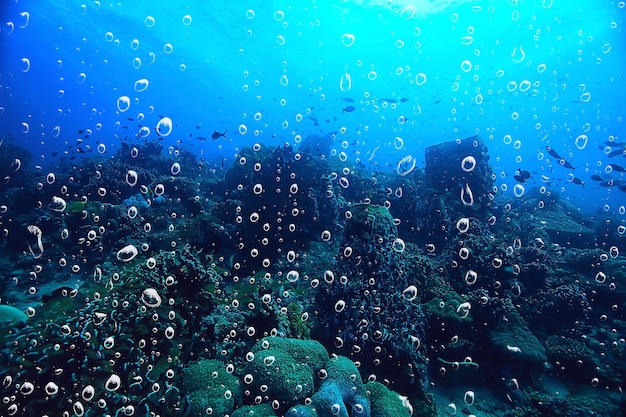 tło podwodne pęcherzyki powietrza rafa / abstrakcyjne tło morza, nurkowanie, natura, ocean