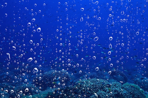 tło podwodne pęcherzyki powietrza rafa / abstrakcyjne tło morza, nurkowanie, natura, ocean