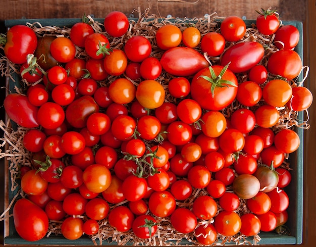 Tło pomidorów Tekstura świeżych organicznych pomidorów