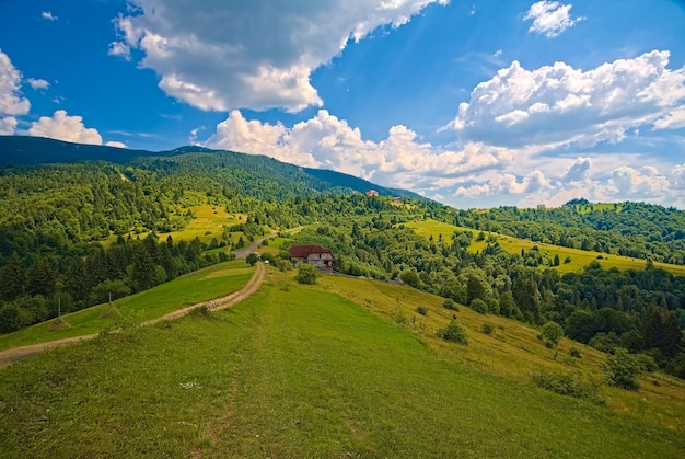 tło przyrody Karpat. górski krajobraz w jasny, słoneczny dzień. las bukowy na