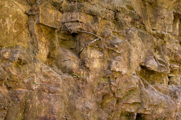 Tło ściana kamień natura góry