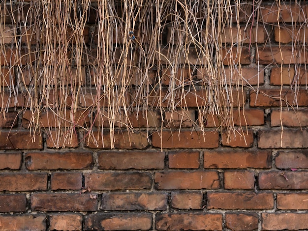 Tło starego brązowego muru z cegły glinianej