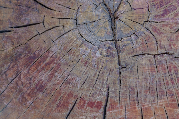 Tło tekstura stary naturalny drewno
