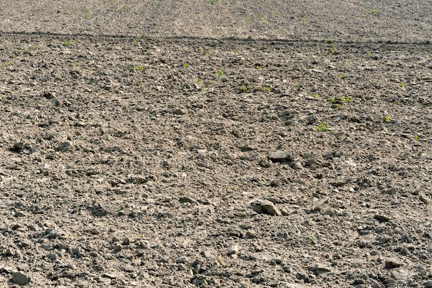 Tło to zaorane pole rolne zaorane pole używane do siewu upraw rolnych