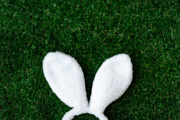 Tło Wielkanoc z uszu cute Zajączek na Zielona Trawa Widok z góry z miejsca kopiowania Wiosenne święta transparentu i nagłówka