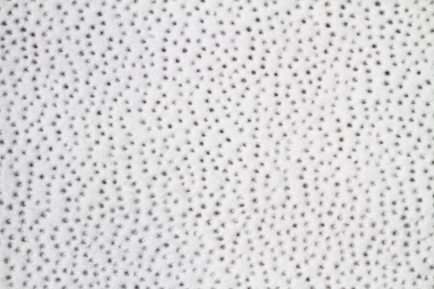 Zdjęcie tło z białej księgi tekstury w kropki