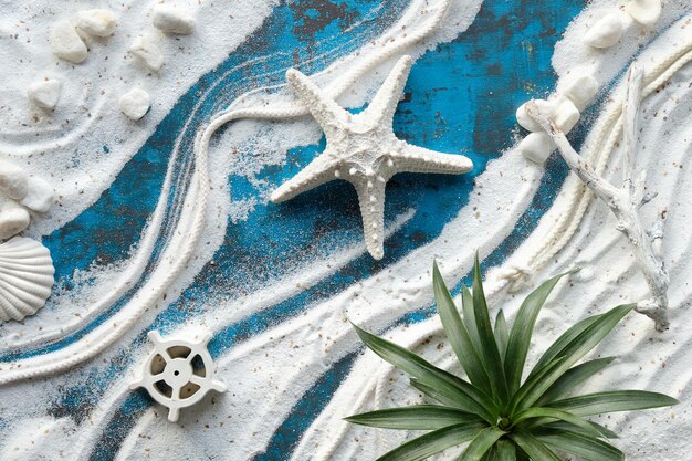 Tło z białym piaskiem na turkusowej tablicy Muszle morskie rozgwiazda egzotyczna roślina Cienie słoneczne