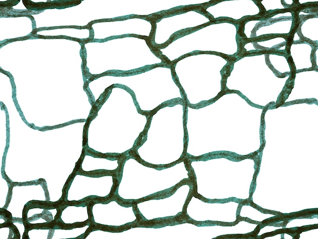 Tło zbliżenie aligatora. Ręcznie rysowane wzór krokodyla. Wzór krokodyla. Zielony i Aqua Menthe Afryka zwierzęca ilustracja skóry. Nadruk skóry drapieżnika. Imitacja skóry smoka.