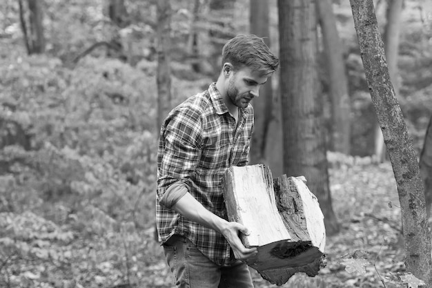 To jest tak ciężkie noszenie pniaków rąbanie i rozłupywanie drewna opałowego drwal w drewnie spędza piknik w lesie człowiek demonstruje swoją siłę i moc