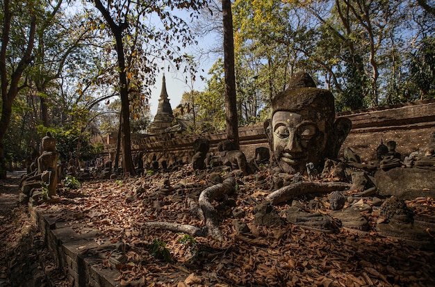 Zdjęcie to jest zdjęcie wat umong, buddyjskiej świątyni w chiang mai w tajlandii