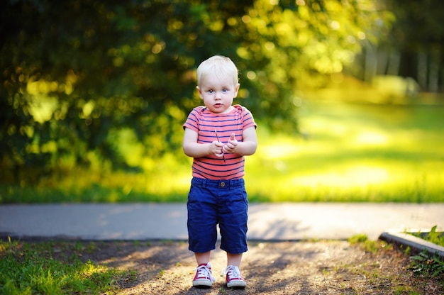 Toddler Chłopiec Spaceru W Parku W Słoneczny Dzień