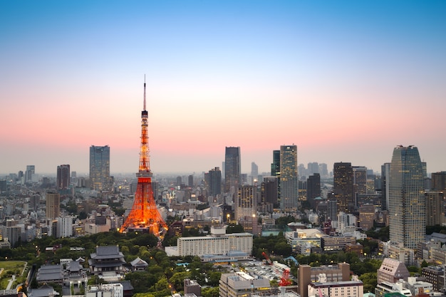 Tokio miasta linia horyzontu przy zmierzchem, Japonia