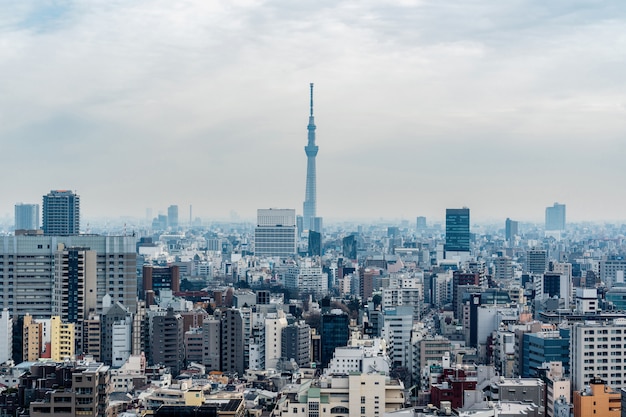 Tokio Pejzaż Miejski Który Może Widzieć Tokyo Nieba Drzewa Od Bunkyo Obywatelskiego Tover, Japan