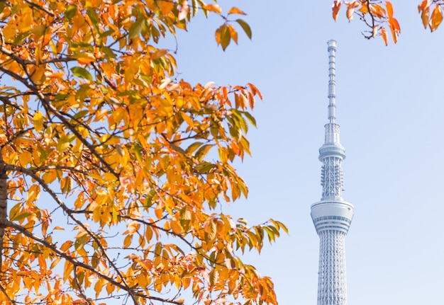 Tokyo sky tree.