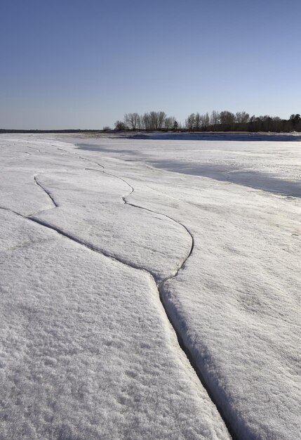 Topniejący lód na brzegu Zatoki Berdskiej Nowosybirsk Syberia Rosja