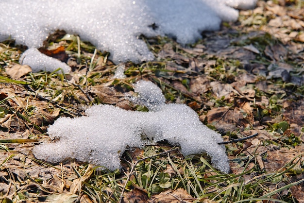 Topniejący śnieg na polach wczesną wiosną Naturalne tło wiosenne Selektywna ostrość