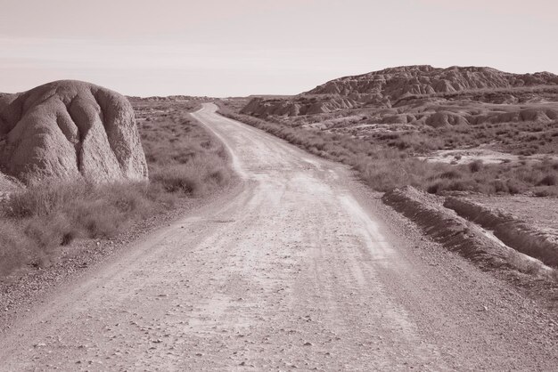 Tor w parku Bardenas Reales w Navarra w Hiszpanii