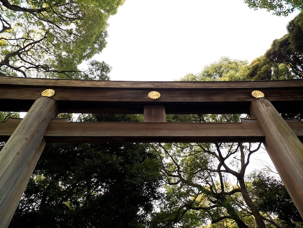 Torii w Meiji Jingu w Japonii