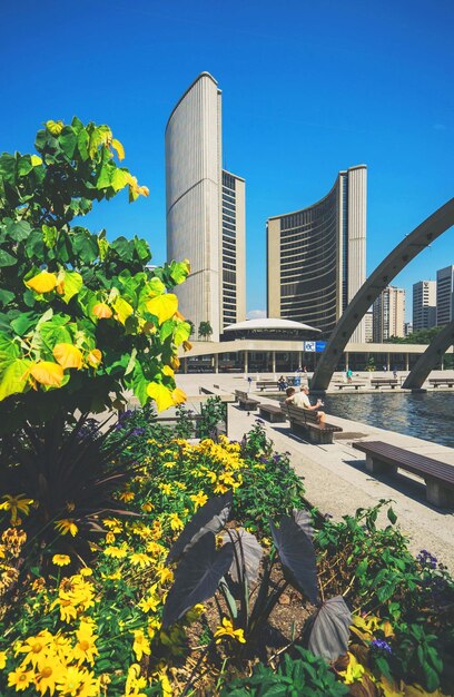 Toronto skyline