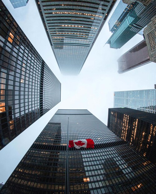 Toronto skyline