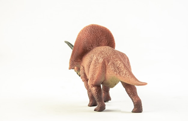 Torosaurus, dinozaur.