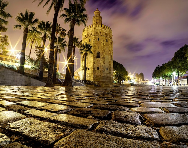 Torre Del Oro W Sewilli W Hiszpanii. Pejzaż Nocą.