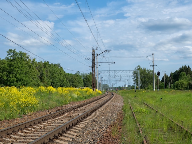 Tory Kolejowe Wśród żółtych Pól