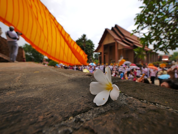 Zdjęcie tradycja koc pagoda