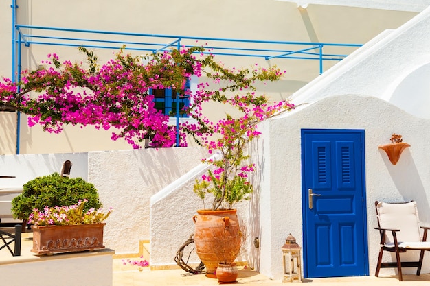 Tradycyjna grecka architektura i wystrój z różowymi kwiatami na wyspie Santorini, Grecja.