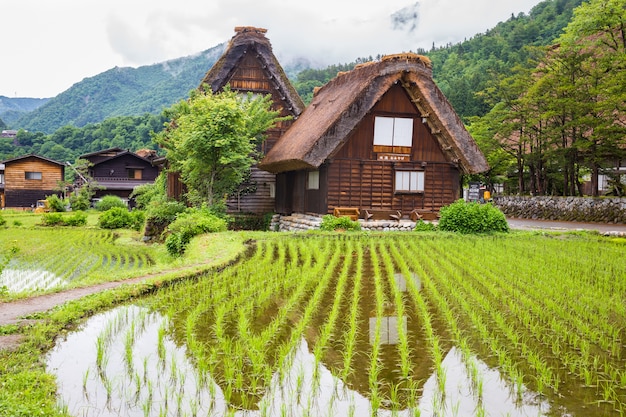 Tradycyjna i Dziejowa Japońska wioska Shirakawago w Gifu prefekturze Japonia, Gokayama