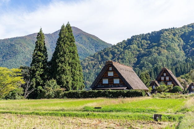 Tradycyjna japońska wioska Shirakawago