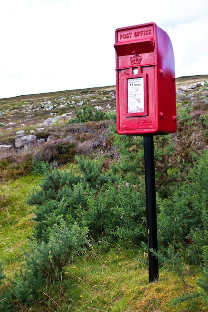 Tradycyjna skrzynka pocztowa w Szkocji, w szczerym polu