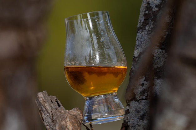 Zdjęcie tradycyjna szkocka whisky single malt w szklance glencairn w selektywnym skupieniu