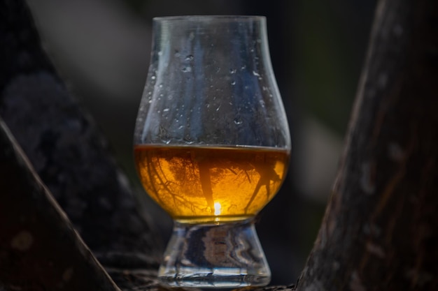 Tradycyjna szkocka whisky single malt w szklance Glencairn w selektywnym skupieniu