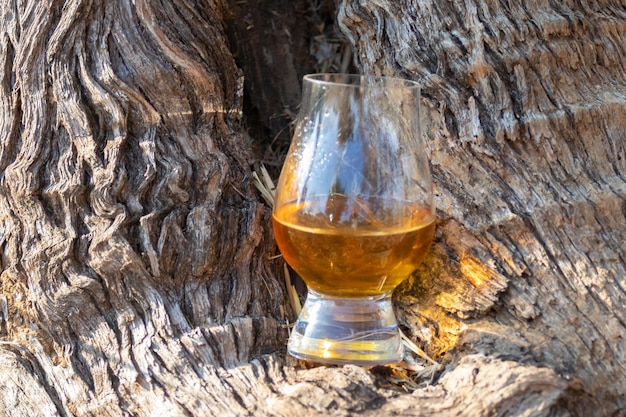 Zdjęcie tradycyjna szkocka whisky single malt w szklance glencairn w selektywnym skupieniu