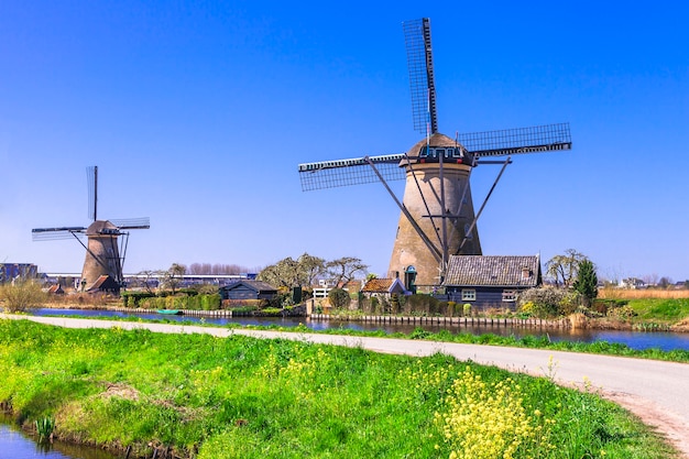 Tradycyjna wieś w Holandii