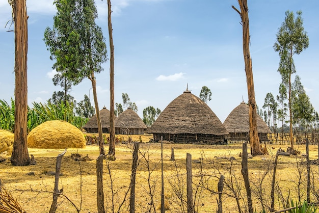 Tradycyjne domy w Etiopii w Afryce