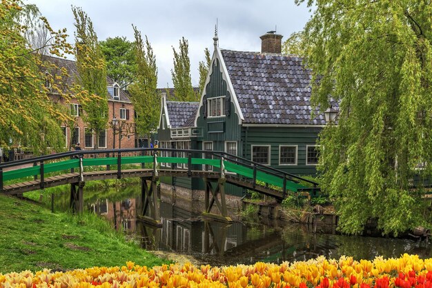 Tradycyjne domy w Historycznej wiosce Zaanse Schans