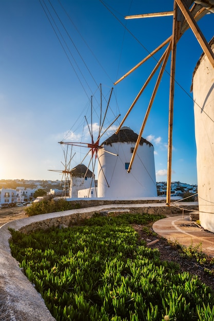 Tradycyjne greckie wiatraki na wyspie mykonos o wschodzie słońca cyklady grecja