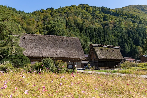 Tradycyjne Japońskie Historyczne wioski w Shirakawago