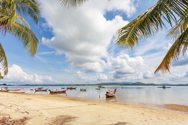 Tradycyjne łodzie typu longtail parkujących na plaży z palmami kokosowymi w ramie na wyspie Phuket