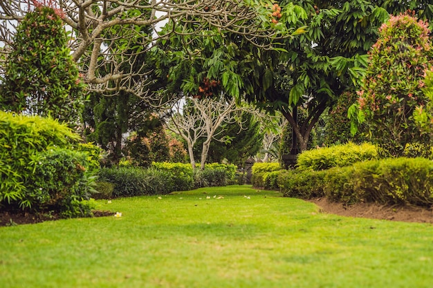 Tradycyjny balijski park, zielony ogród. Bali, Indonezja