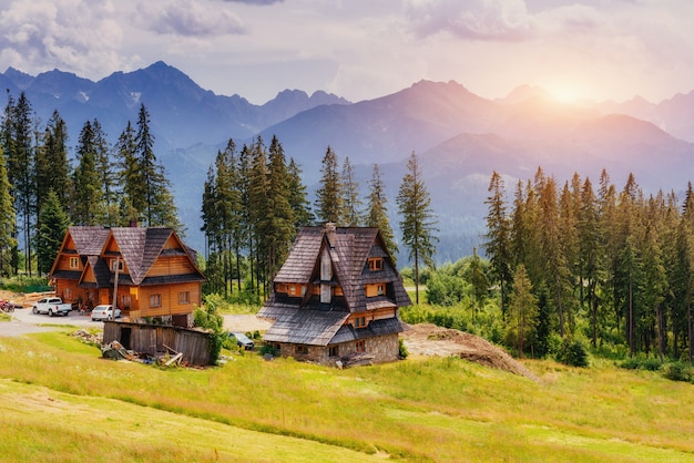 Tradycyjny drewniany dom w górach na zielonym polu Mountain