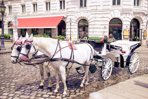 Tradycyjny trener koni Fiaker w Wiedniu w Austrii