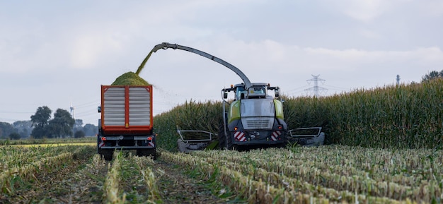 Zdjęcie traktor i maszynka do cięcia kukurydzy podczas zbiorów kukurydzy