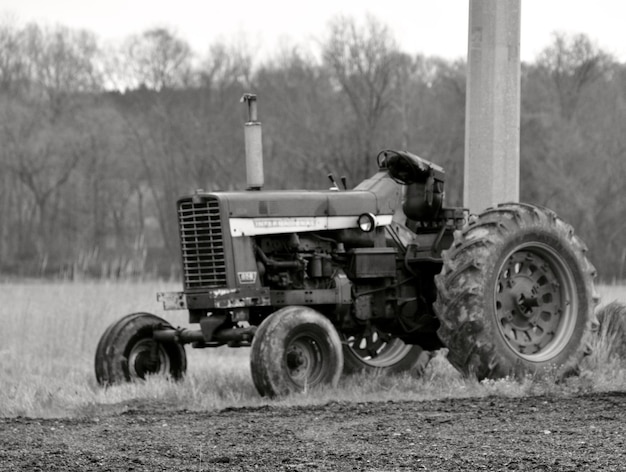 Zdjęcie traktor na polu przeciwko drzewom