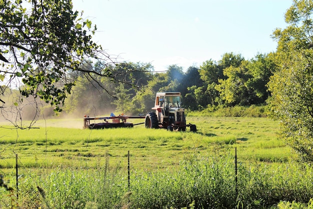 Traktor na polu przeciwko drzewom